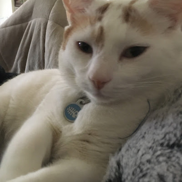 Meet your Posher, K‘s - Picture 1 of 1